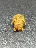 pin doré tortue 1,5*1,5cm