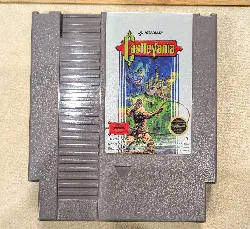 jeu nes castlevania