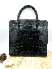 sac carel paris en cuir exotique noir