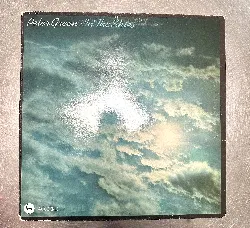 vinyle peter green (2) - in the skies (1979)