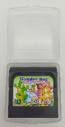 jeu sega game gear wonder boy the dragon's trap