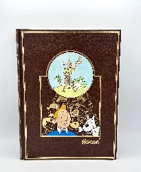 livre collection tintin oeuvre integrale de hergé - les extraordinaires aventures de totor c;p des hannetons - l'extraordinaire av