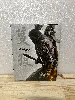 livre sekiro shadows die twice, official game guide