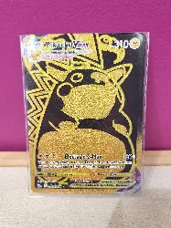 carte pokemon pikachu vmax tg29/tg30