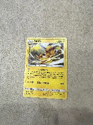 carte pokemon raichu 55/214