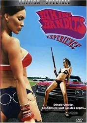 dvd bikini bandits