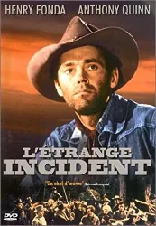 dvd l'etrange incident