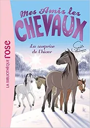 livre mes amis les chevaux, tome 7 : la surprise de l'hiver