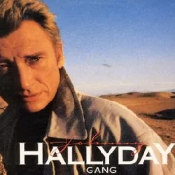 vinyle johnny hallyday - gang (1986)