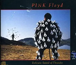 cd pink floyd - delicate sound of thunder