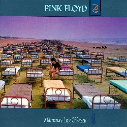 vinyle pink floyd a momentary lapse of reason