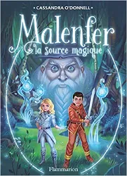 livre malenfer, la fôret des ténèbres, tome 2 : la source magique