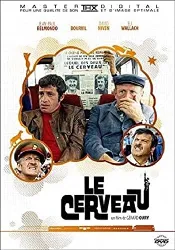 dvd le cerveau