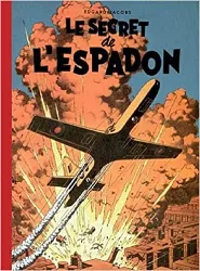 livre le secret de l'espadon