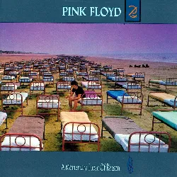 cd pink floyd - a momentary lapse of reason (1987)