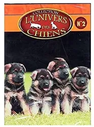 dvd l'univers des chiens n°2