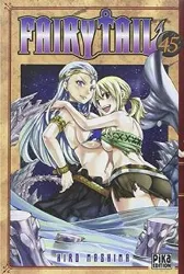 livre fairy tail - tome 45