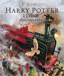 livre harry potter à l'école des sorciers - beau - livre collector