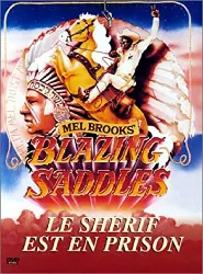 dvd blazing saddles