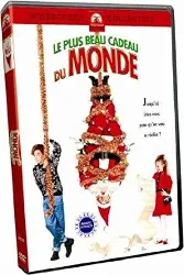 dvd le plus beau cadeau du monde