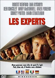 dvd les experts