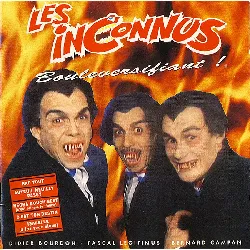 cd les inconnus - bouleversifiant