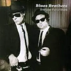 cd the blues brothers - briefcase full of blues (1995)