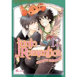 manga asuka boy's love - junjo romantica tome 12