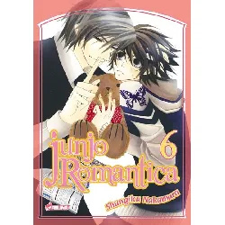 manga asuka boy's love - junjo romantica tome 6