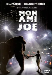 dvd mon ami joe