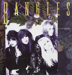 cd bangles, everything,