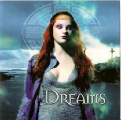 cd celtic spirit dreams (1999, cd)