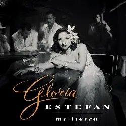 cd gloria estefan mi tierra (1993, cd)