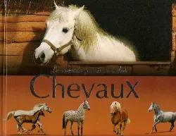 livre le monde fascinant des chevaux