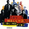 cd david hallyday - 2000 bbf (1994)