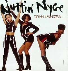 cd nuttin' nyce - down 4 whateva..