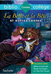 livre la belle et la bête et autres contes