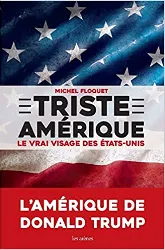 livre triste amérique : le vrai visage des etats - unis