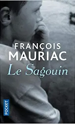 livre le sagouin