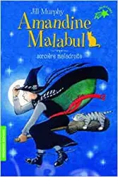 livre amandine malabul : sorcière maladroite