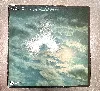 vinyle peter green (2) - in the skies (1979)