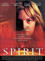 dvd spirit