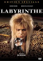 dvd labyrinthe - édition spéciale