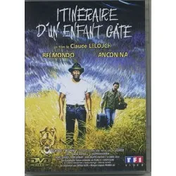 dvd itiniraire d'un enfant gate