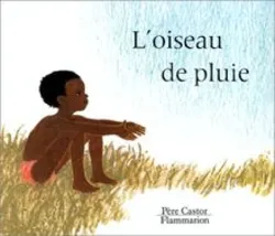 livre l'oiseau de pluie