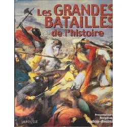 livre les grandes batailles de l'histoire