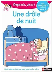 livre regarde, je lis avec noé et mila - lecture cp - niveau 1 - une drôle de nuit