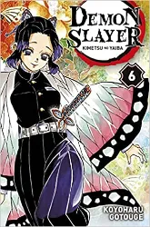 livre demon slayer - tome 6