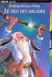 livre le défi des druides