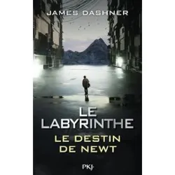 livre le labyrinthe - le destin de newt